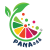 PANAaaa_Logo_Final_Print__2_-1-removebg-preview